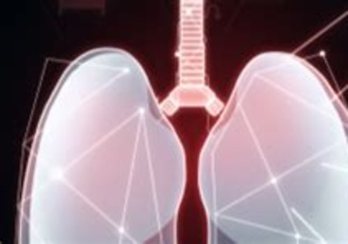 Understanding Female Reproductive Anatomy and Its Role in Sexual Health